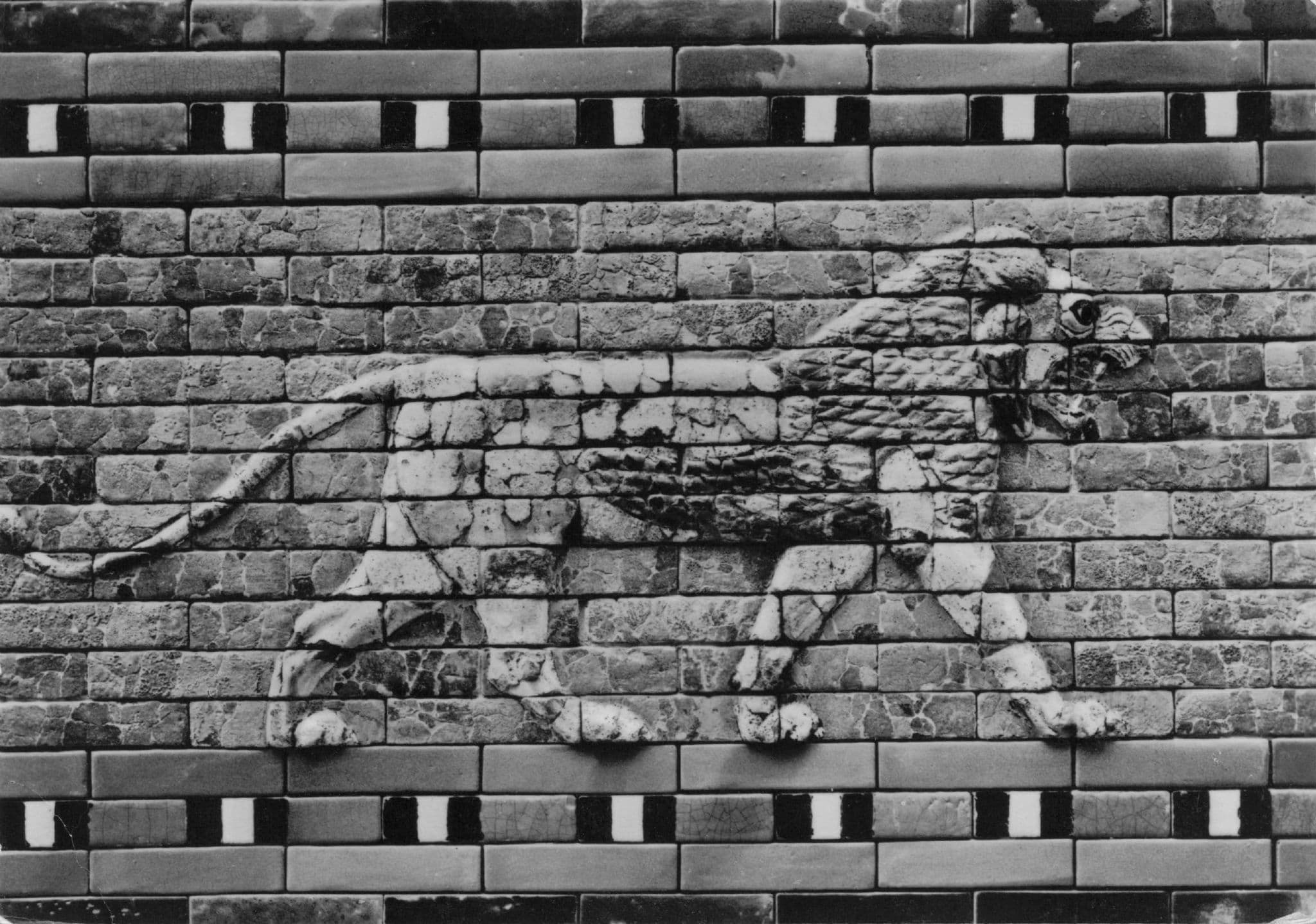 Berlin Mural Old Lion Sculpture In Wall German Museum RPC Postcard