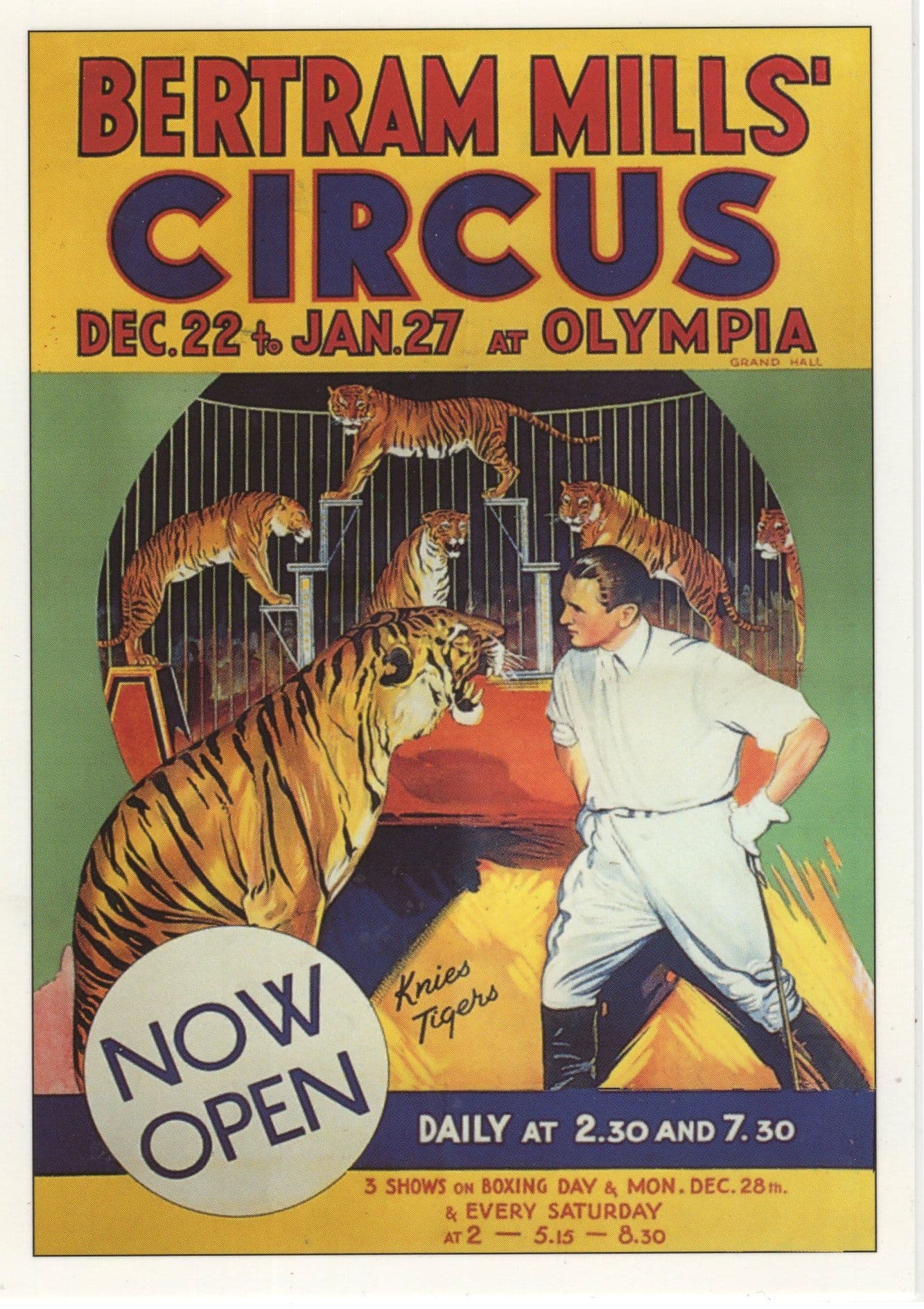 Bertram Mills Circus Olympia London Tigers & Trainers Postcard