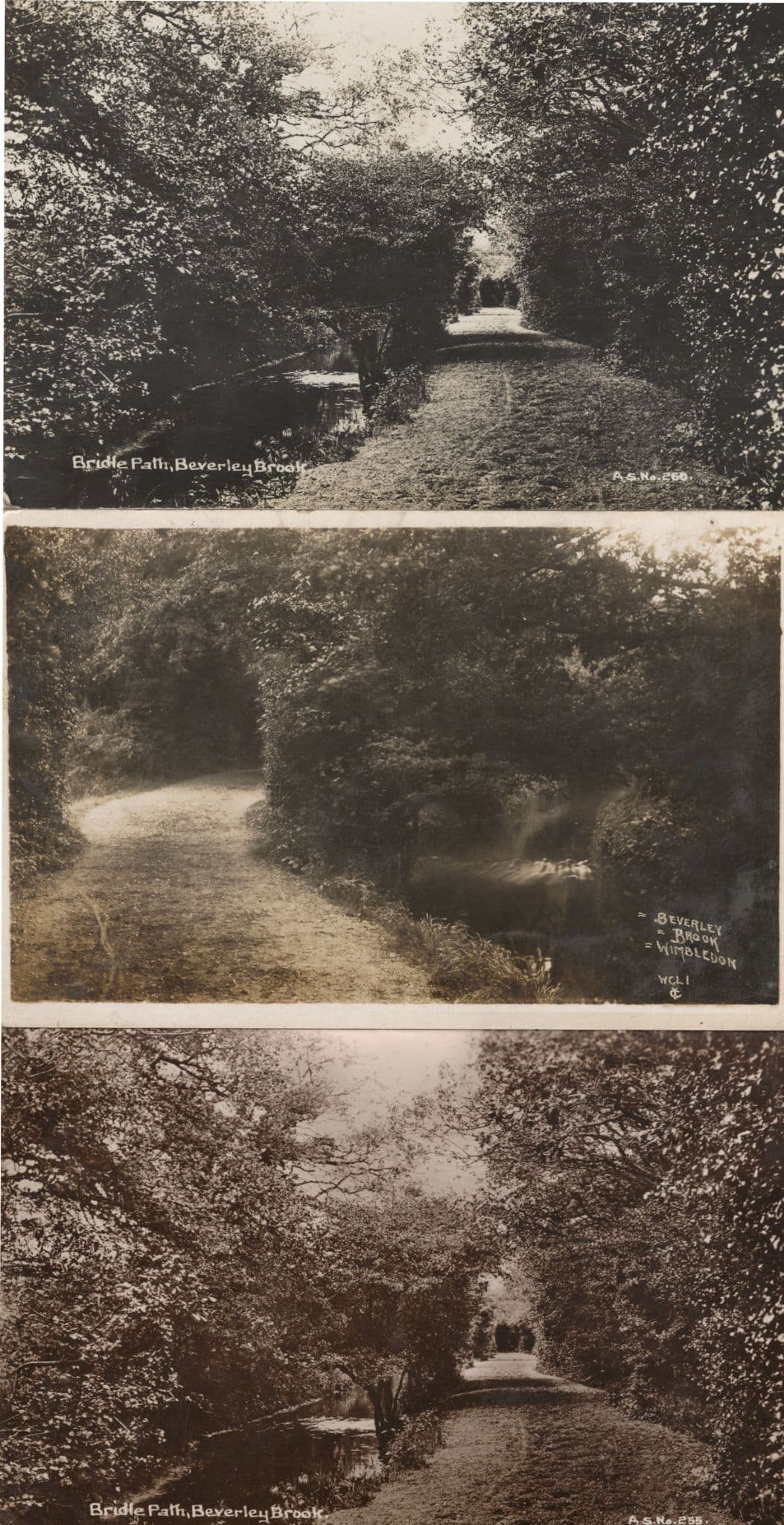 Beverley Brook Wimbledon London River 3x Old RPC Postcard s