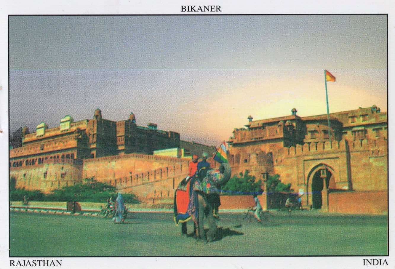 Bikaner Elephant Rajasthan India Postcard