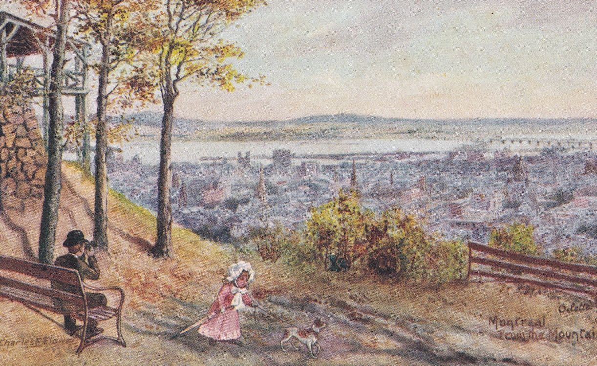 Binoculars On London Common Antique Reward Card Postcard