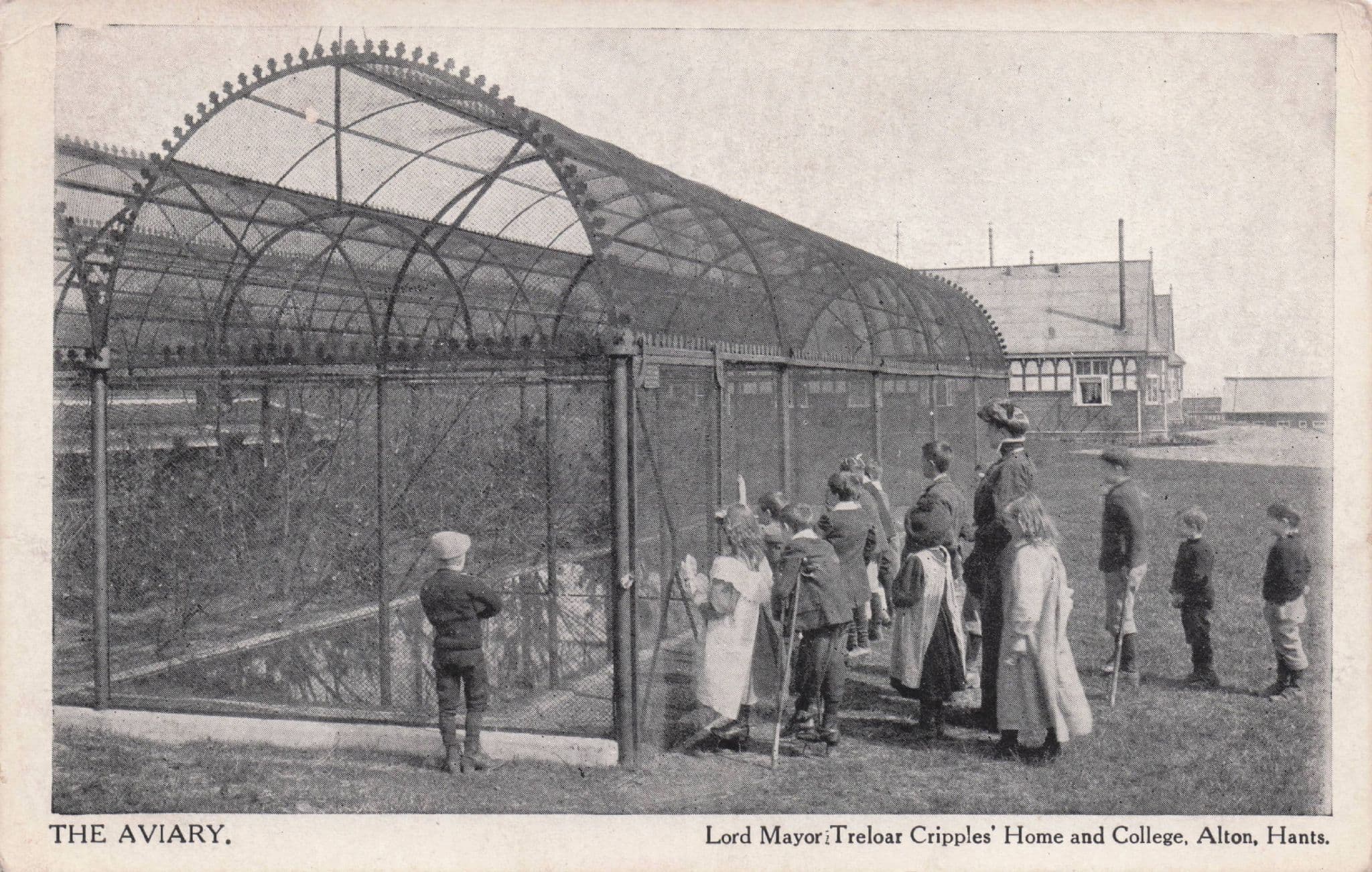 Bird Aviary Lord Mayor's Cripples' Home & College Alton Hants Postcard