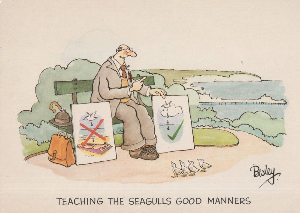Bird Dropping Poos On Head Seagulls Comic Postcard