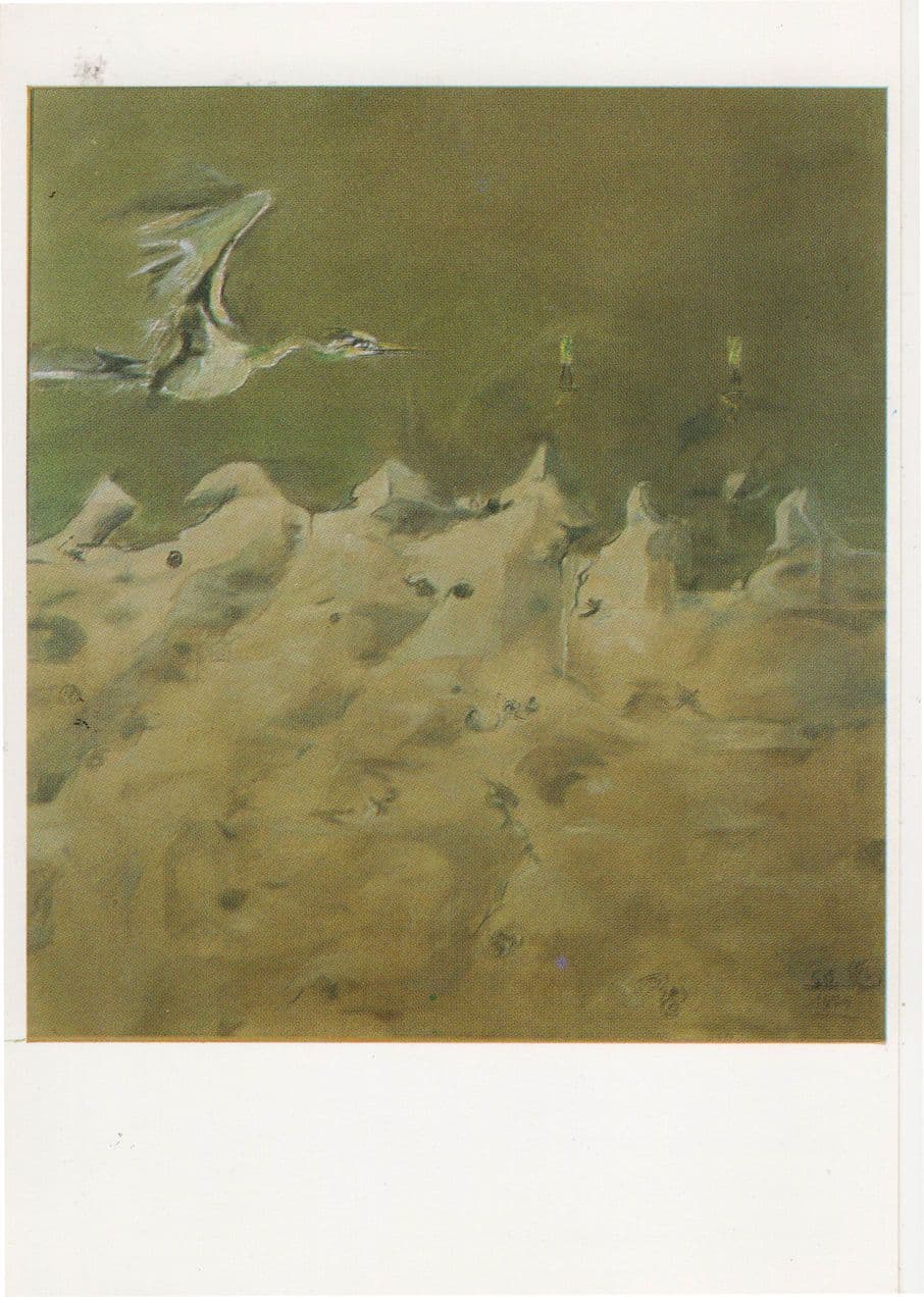 Bird Over Sand Welsh Graham Sutherland Painting Art Gallery Postcard
