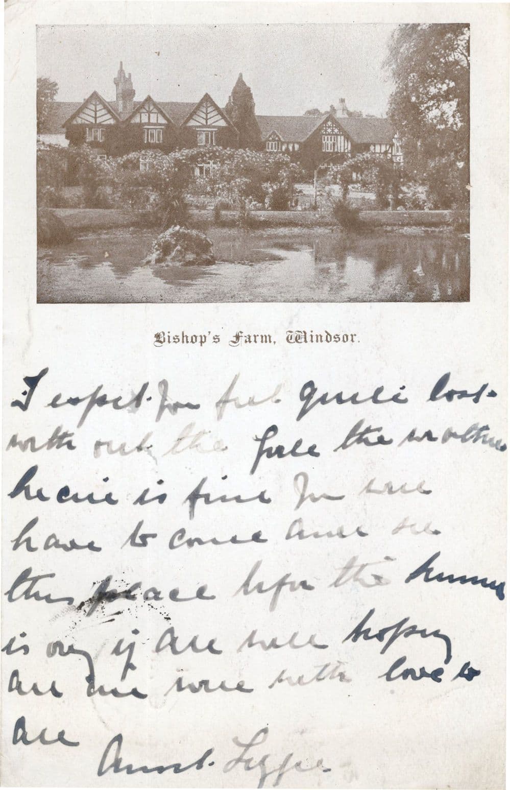 Bishops Farm Windsor Antique Postcard