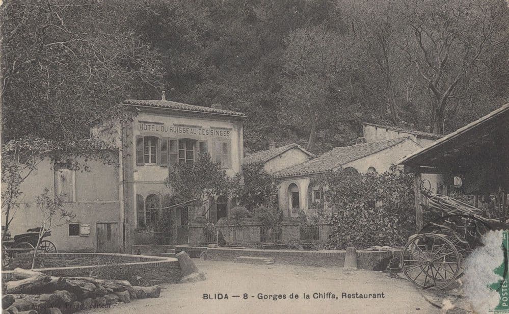 Blida Restaurant Italy Antique Postcard