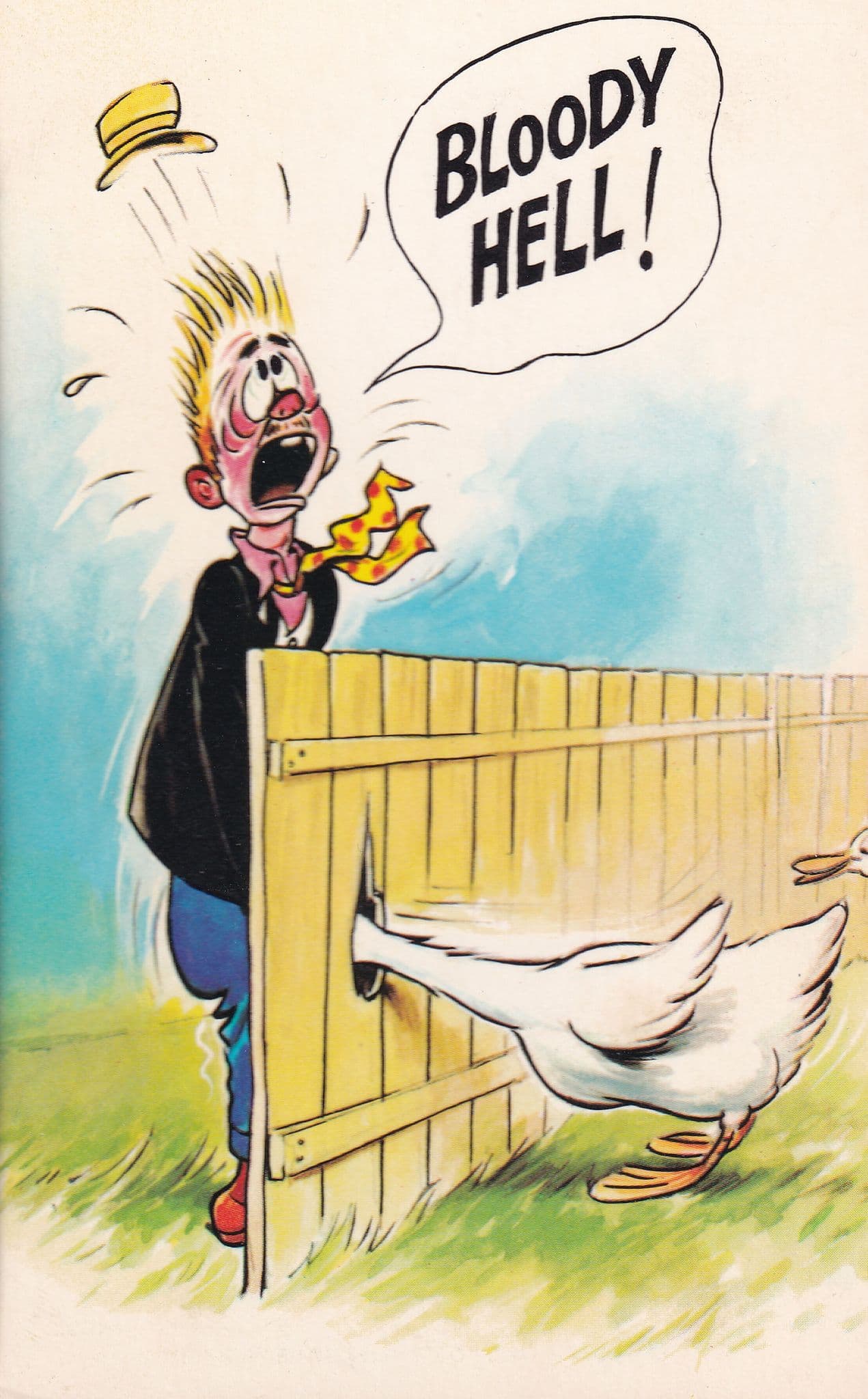 Bloody Hell Duck Goose Attack Comic Humour 160 Bamforth Postcard