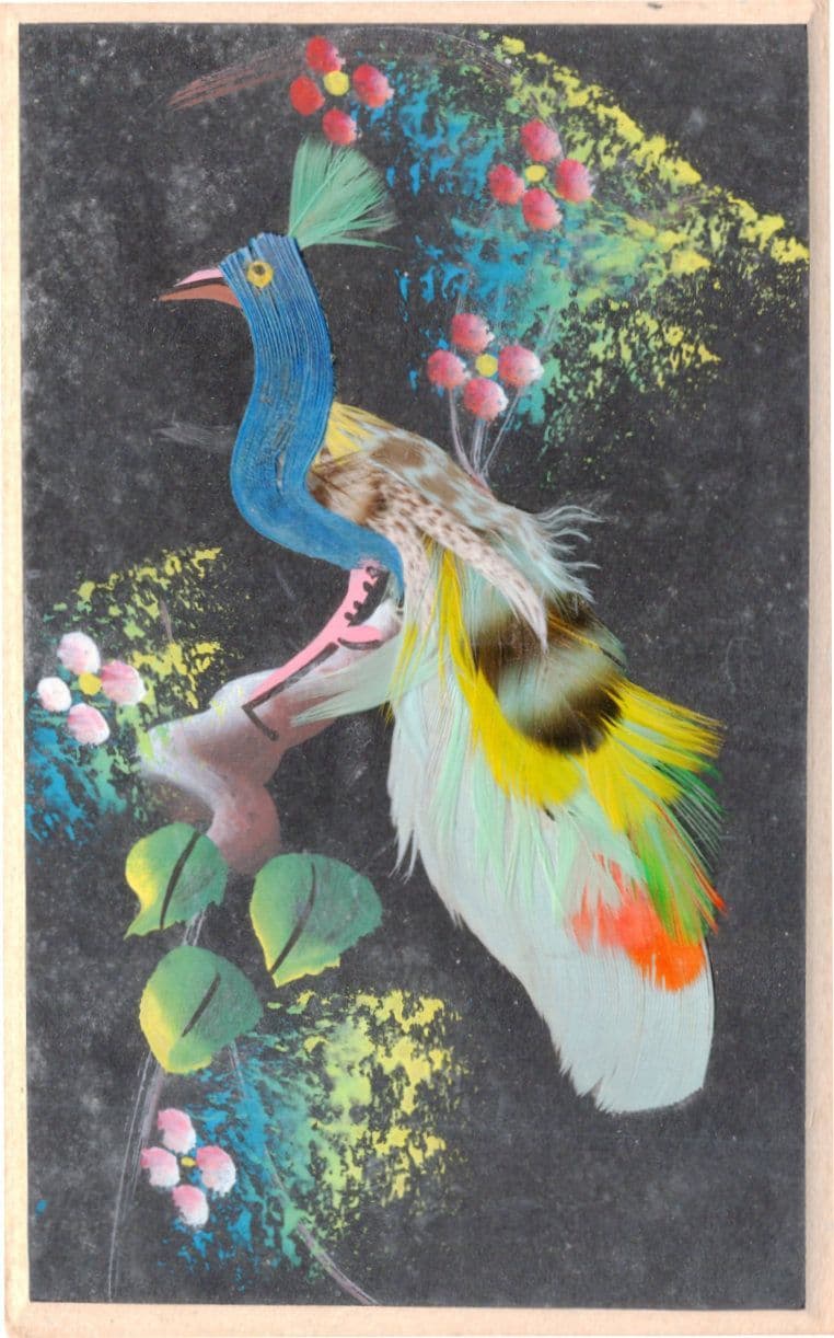 Blue Peacock Amazing Real Feathers Mexican Felt Crafts Old Card