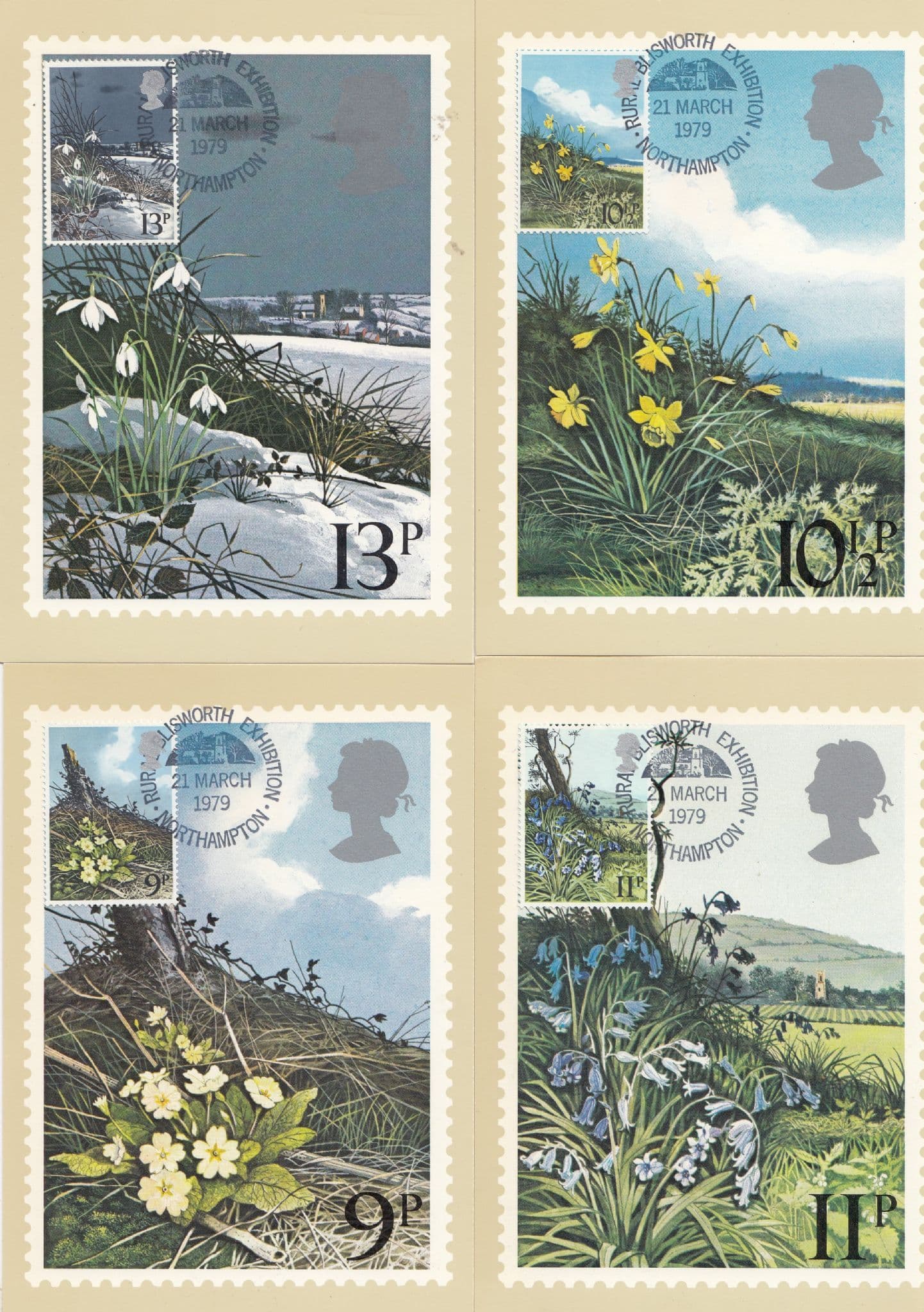 Bluebells Daffodils Primroses Snowdrops 4x PHQ Postcard s
