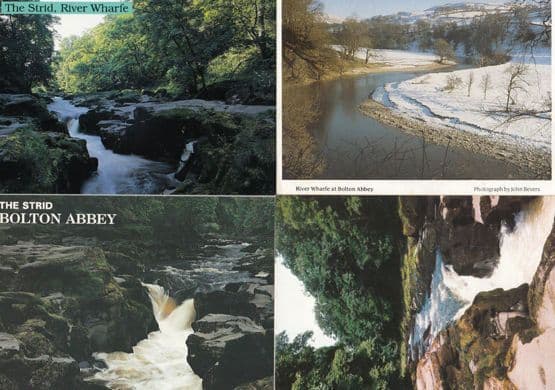 Bolton Abbey River Wharfe Christmas Snow Covered & The Strid 4x Postcard s
