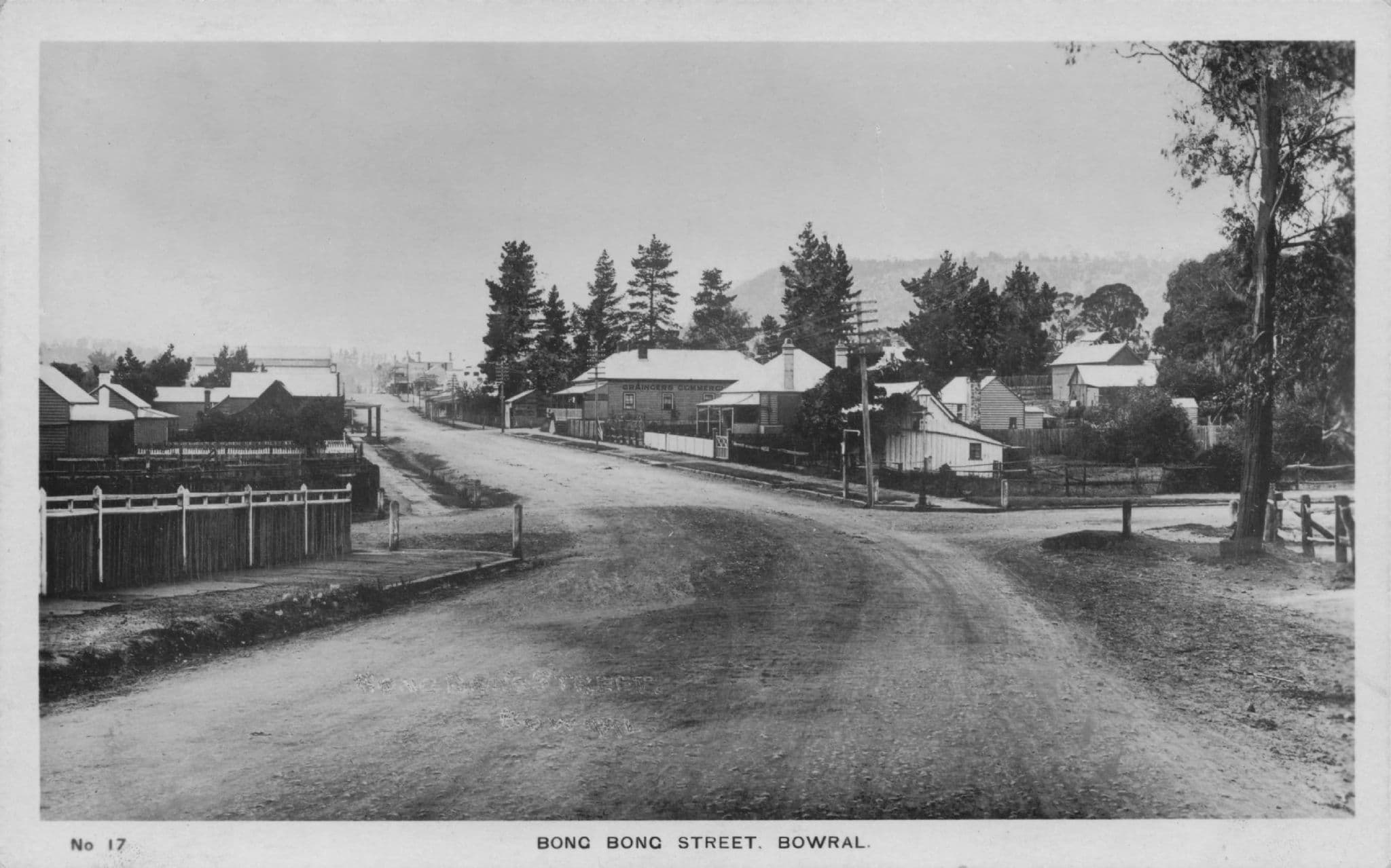 Bong Bong Street Bowral New South Wales Australia Old RPC Postcard