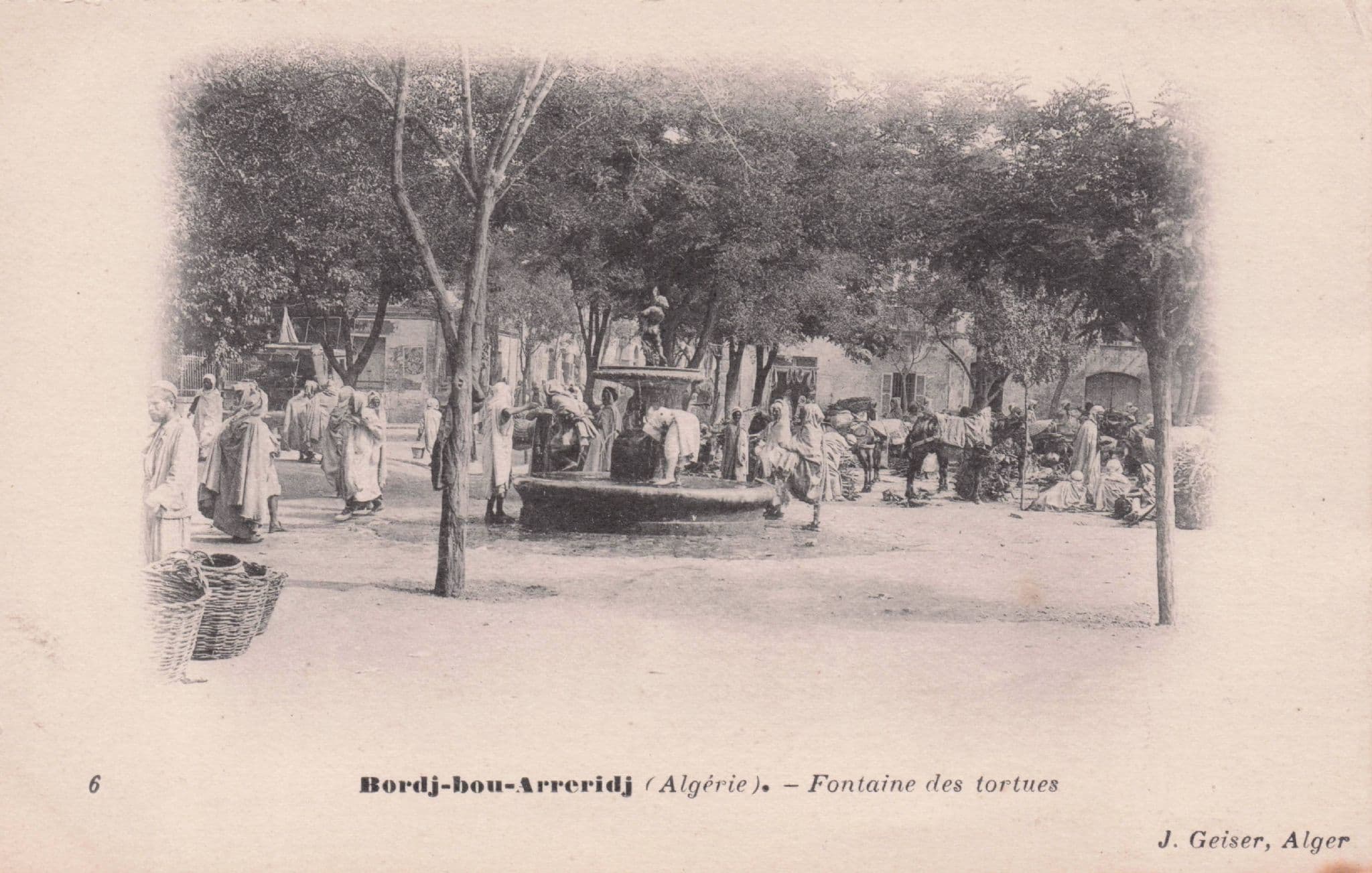 Bordj Bou Arreridj Fontaine Des Tortues Old Alger Postcard