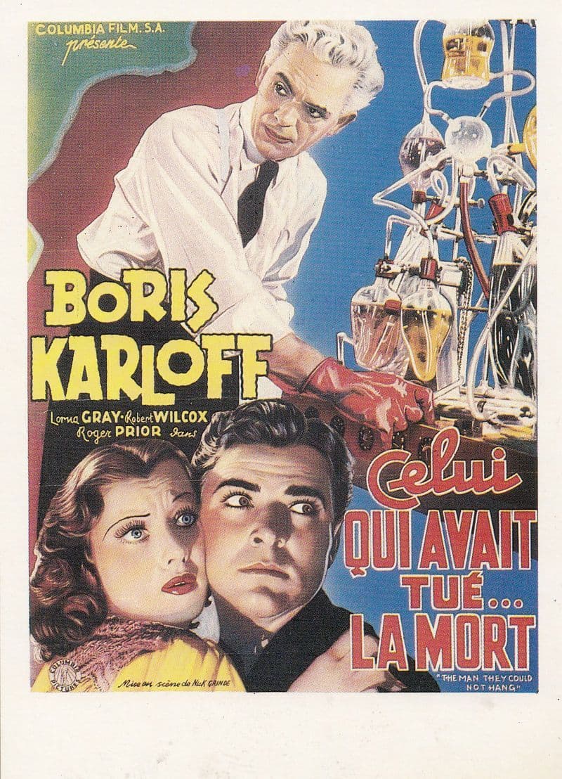 Boris Karloff Qui Avait & Bride Of Frankenstein Film French Art Poster Postcard