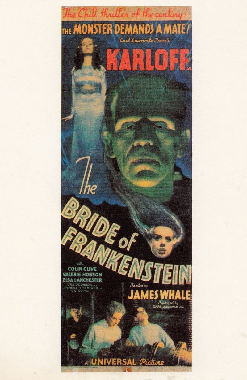 Boris Karloff Qui Avait & Bride Of Frankenstein Film French Art Poster Postcard