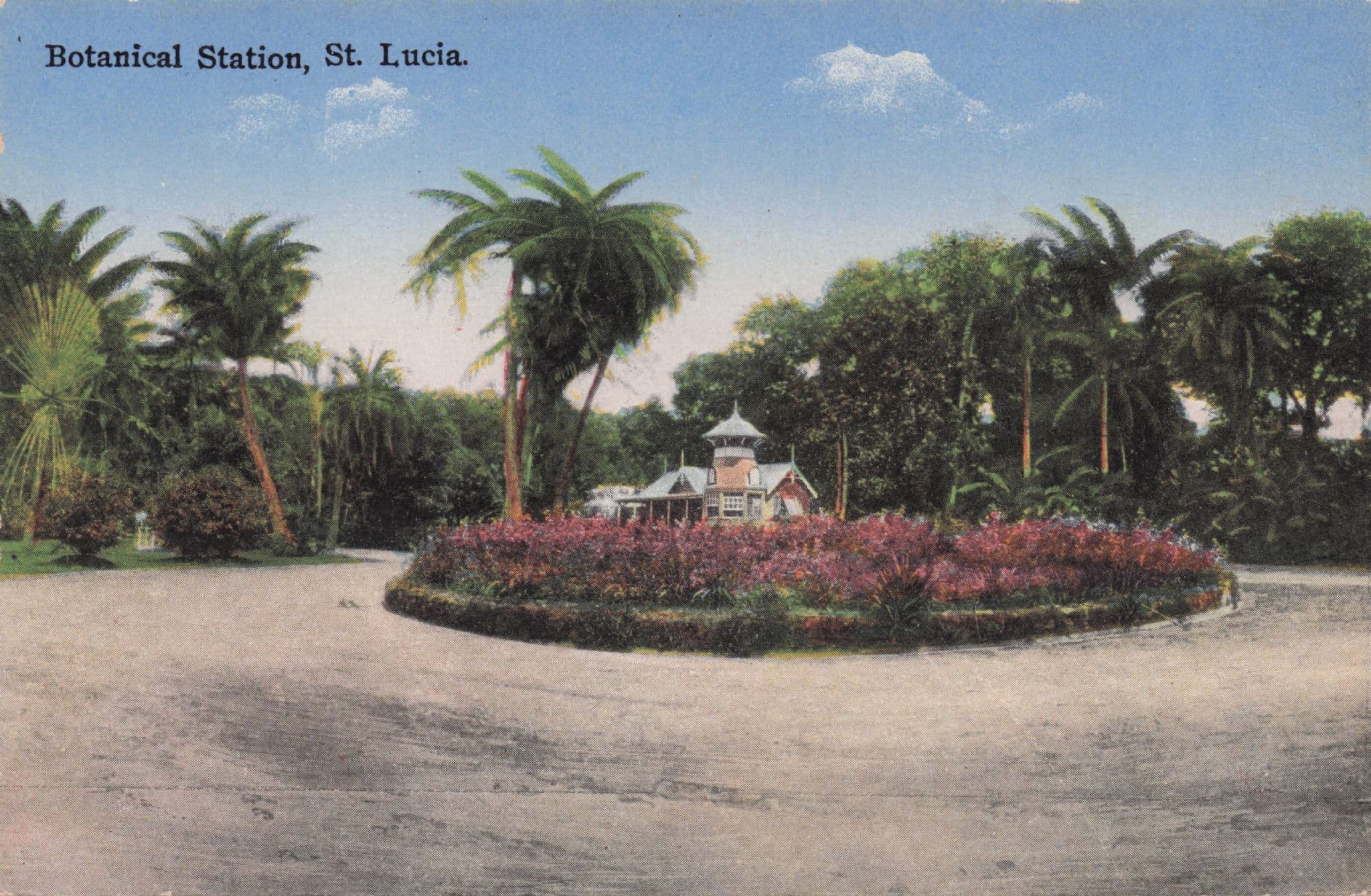 Botanical Station St Saint Lucia Caribbean Old Rare Postcard