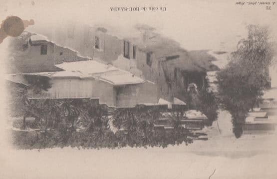 Bou Saada Algeria Antique Postcard