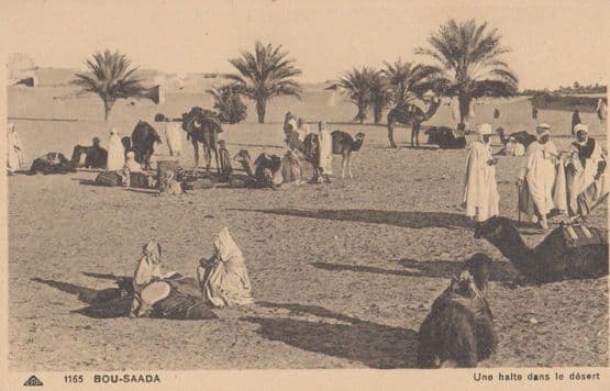 Bou Saada  Desert Old Postcard