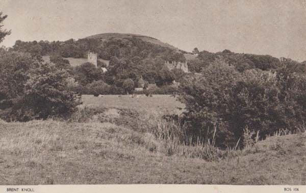 Brent Knoll Cattle Grazing Somerset Antique Postcard
