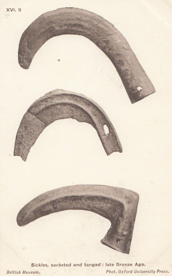 Bronze Sickles Socketed & Tanged Old British Museum Antique Postcard