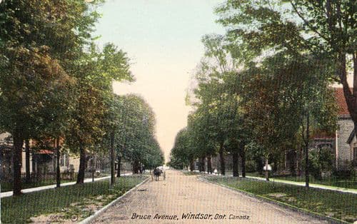 Bruce Avenue Windsor Ontario Antique Canada Canadian Postcard