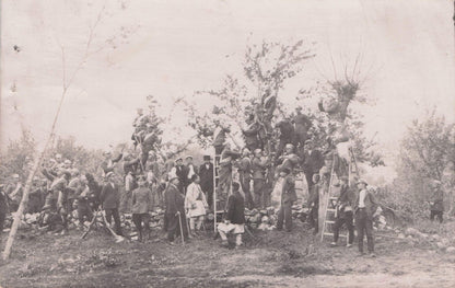 Bulgarian Tree Workers Antique Industry Old Bulgaria Postcard