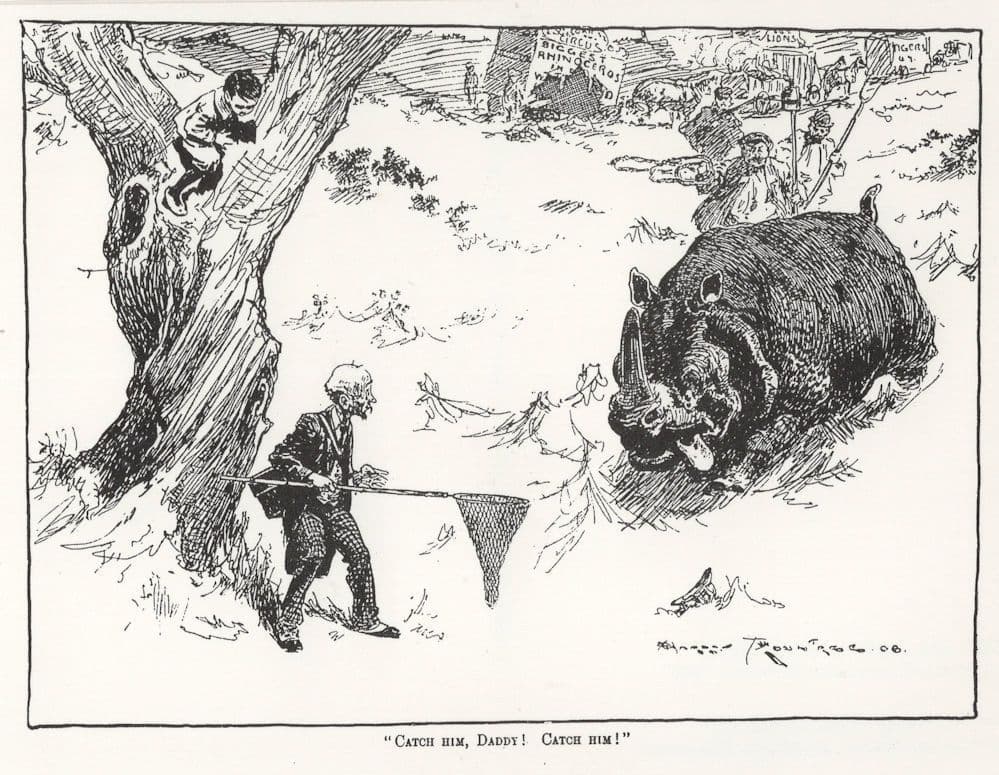 Bullfighting With Fishing Net Catch Him Daddy Punch Magazine Postcard