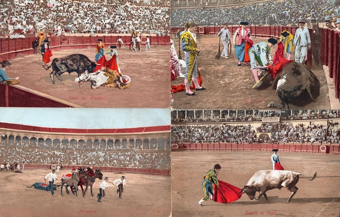 Bulls Matador Killed in Battle 4x Vintage Bullfighting Postcard s