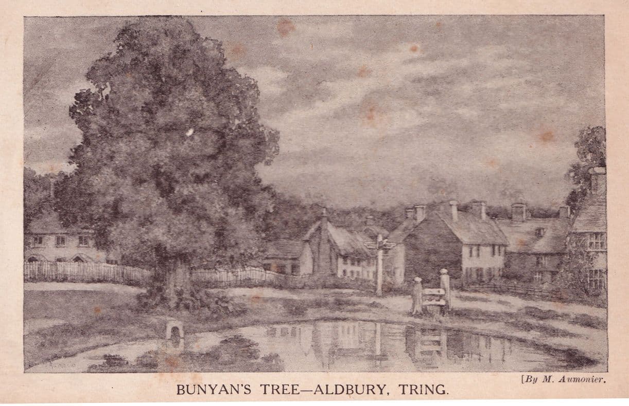Bunyan's Elm Tree Aldbury Tring Herts Antique Postcard