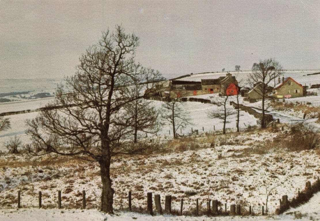 Burnt House Farm Bishop Auckland Tow Christmas Snow Tow Durham Postcard