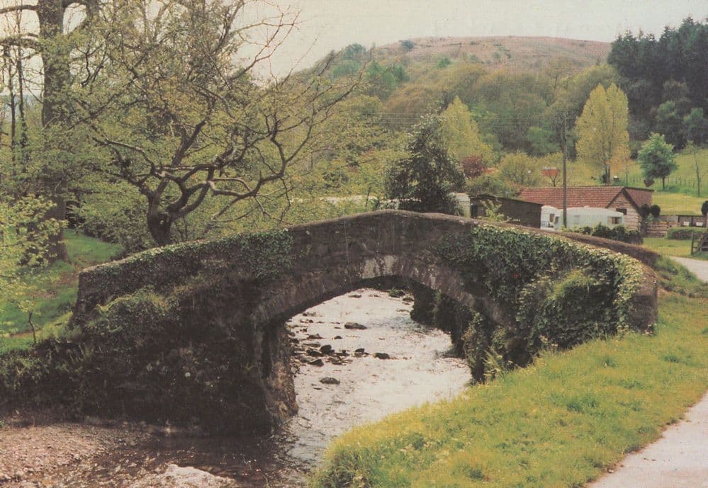 Burrowhayes Caravan Park Entrance Somerset Postcard