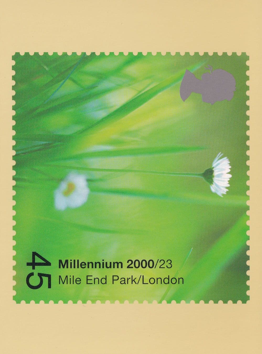 Buttercups at Mile End Park London Postcard