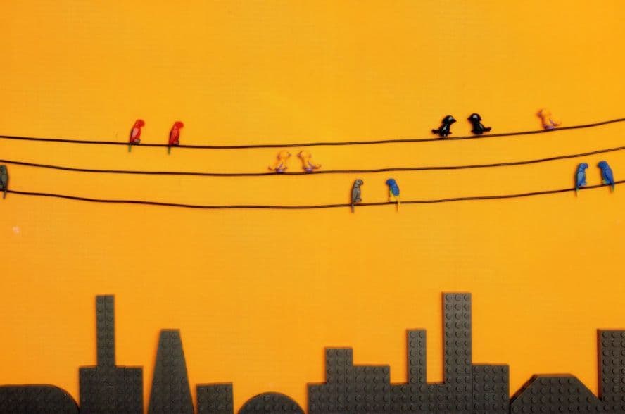 Buzby Birds On Telephone Communication Wires Lego Toy Display Postcard