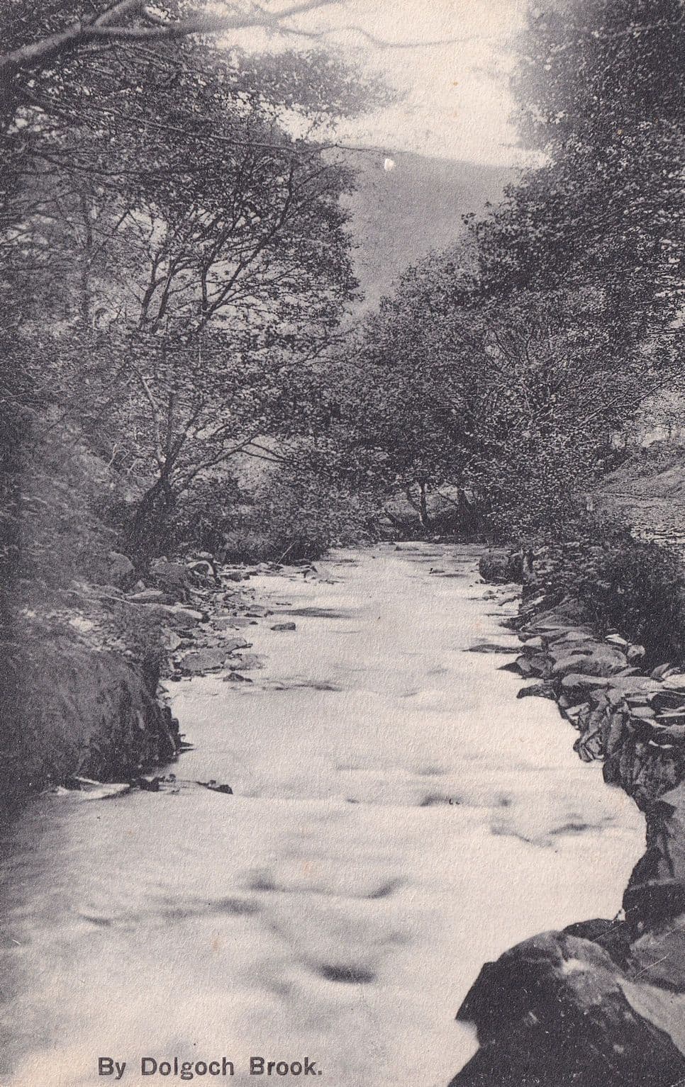 By Dolgoch Brook Antique Gwynedd Welsh Postcard
