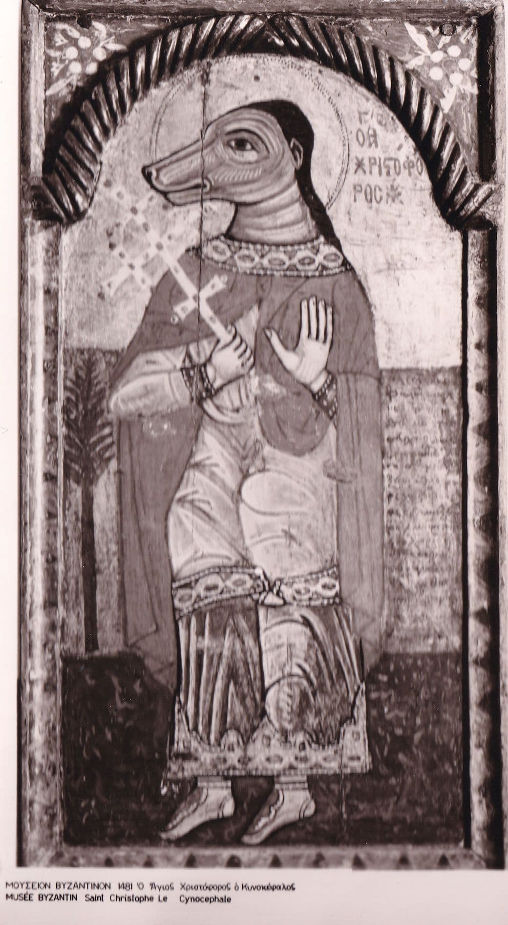 Byzantine Museum St Saint Christopher Cynocephale Old RPC Postcard