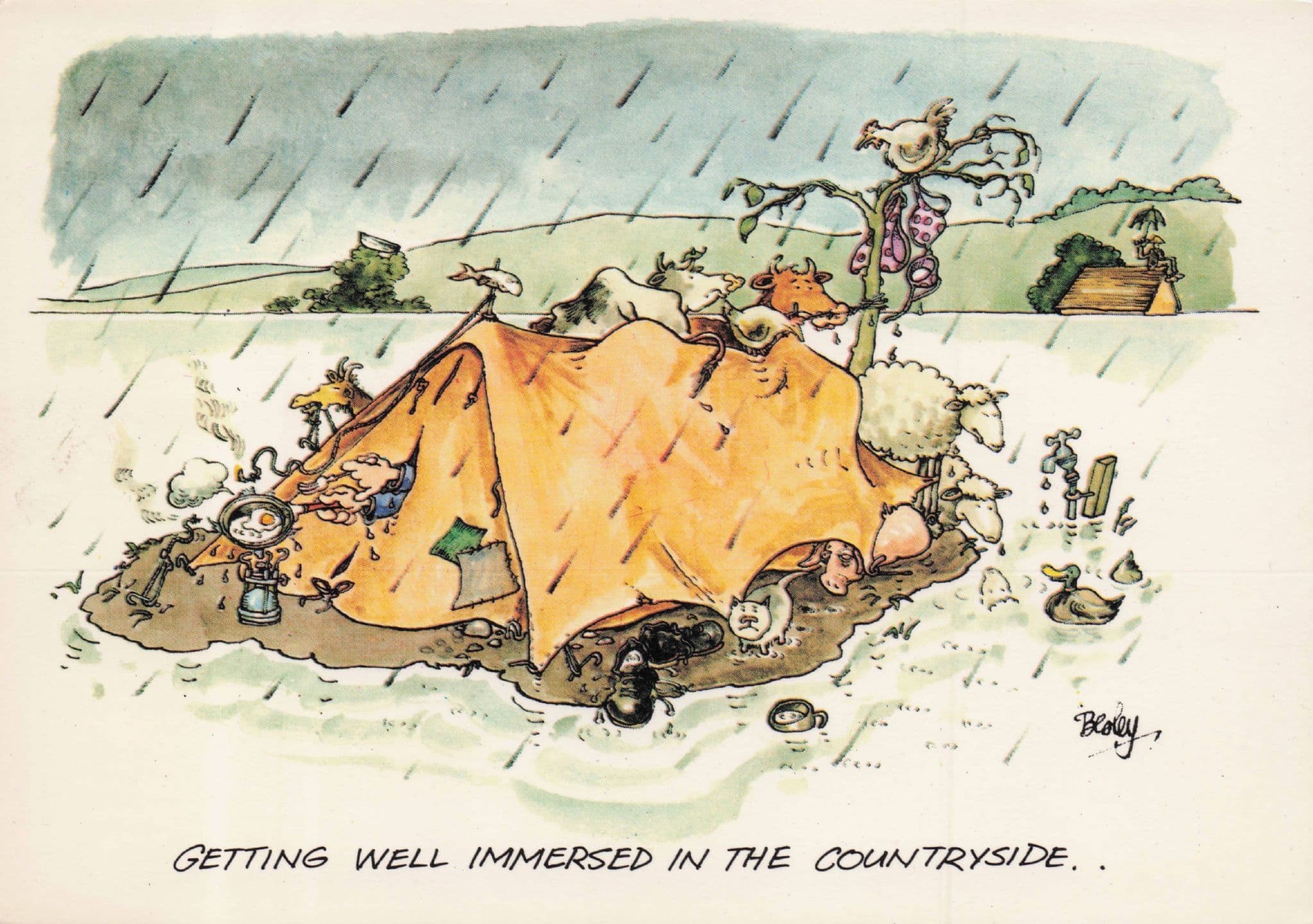 Camping Disaster Holiday Tent Flood Fish Birds Comic Postcard