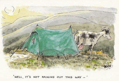 Camping Holiday 4x Comic Humour Postcard s