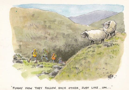 Camping Holiday 4x Comic Humour Postcard s