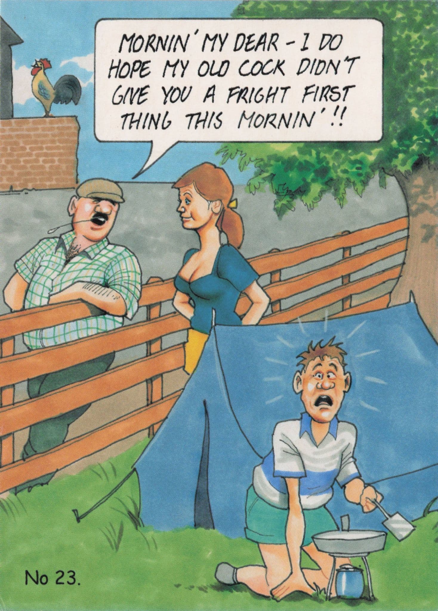 Camping Old Cock Bird Farmer Old Tent Site Disaster Comic Postcard