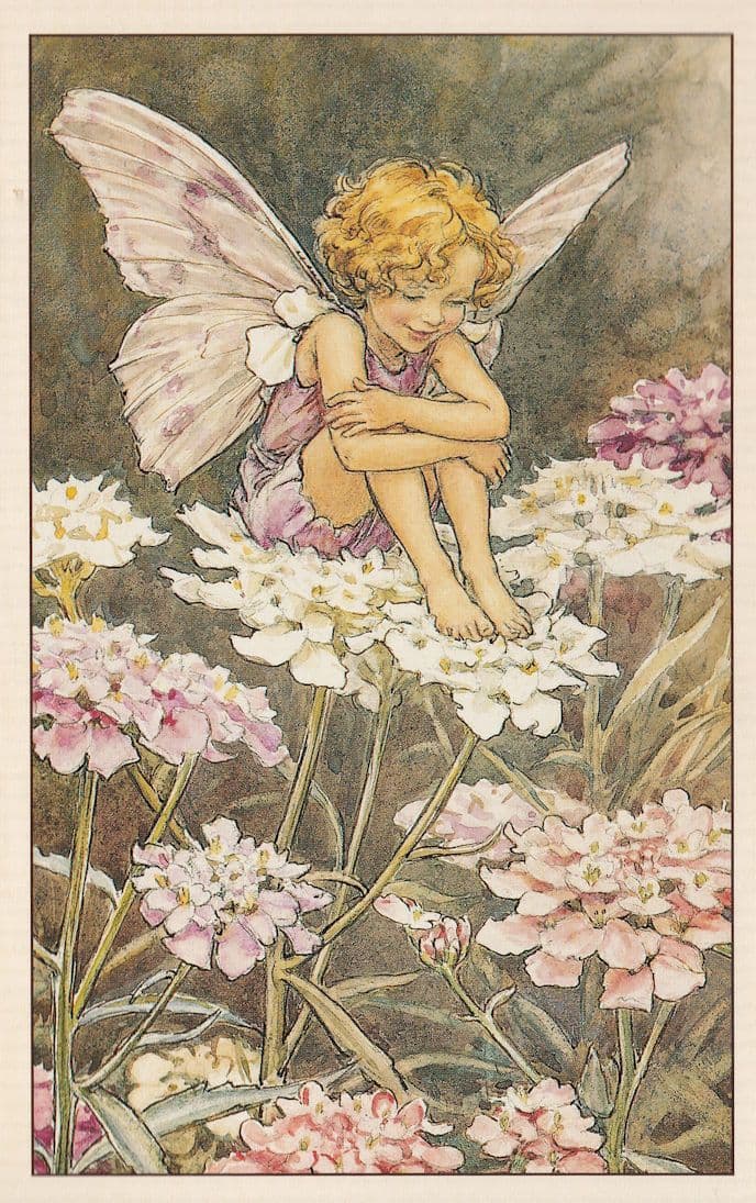 Candytuft Fairy Fairies from War WW2 Book Illustration Postcard