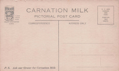 Carnation Milk Condensery Exposition San Francisco 1915 Advertising Postcard