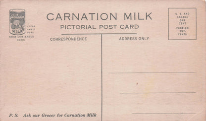 Carnation Stock Dairy Farm Milk Old Advertising Postcard