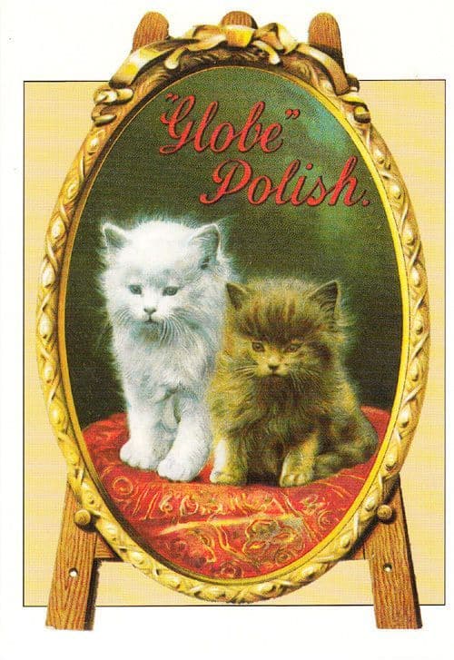 Cat Cats Romantic In Victorian Mirror Shoe Globe Polish Gloucester Rare Postcard