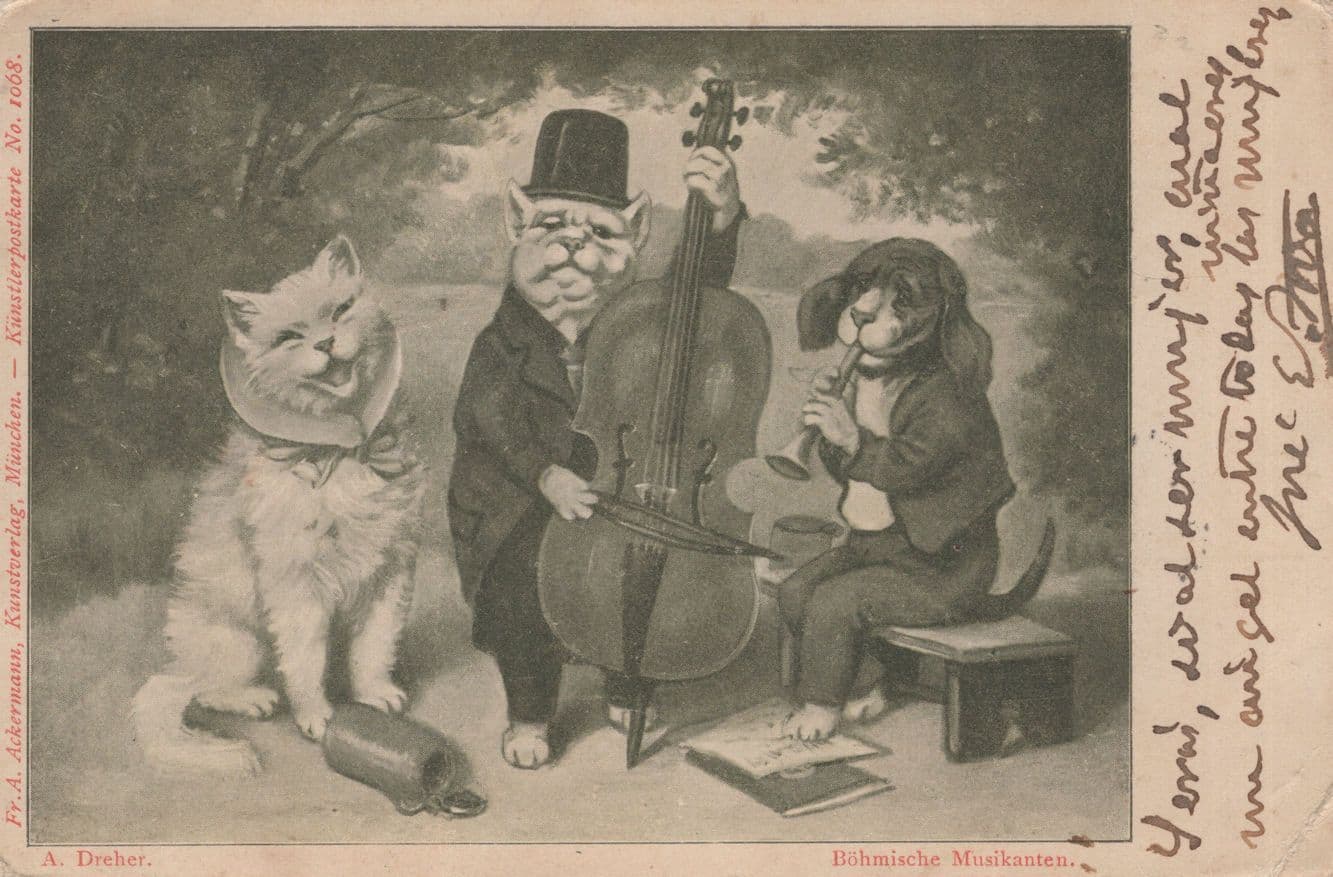 Cat & Dog Orchestra Bugle Jewish Hat Antique 1902 Comic Postcard
