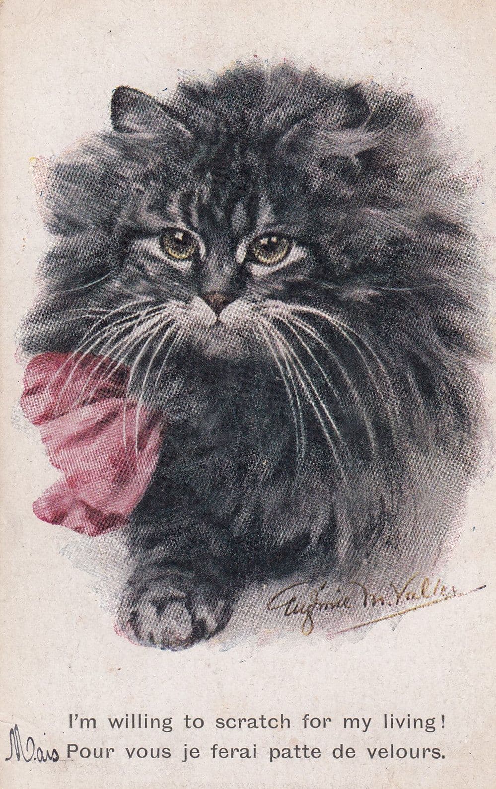 Cat I Will Scratch For A Living Old Comic Artistique Postcard