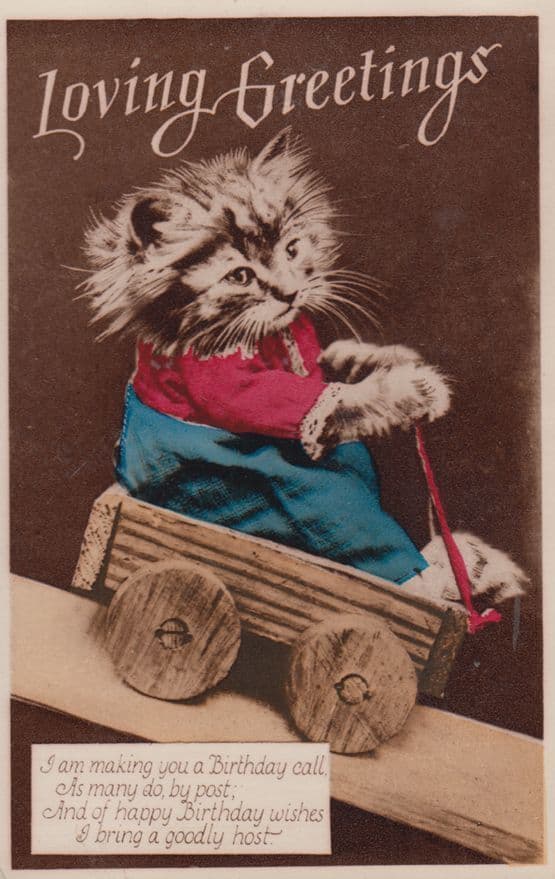 Cat In Truck Unique Old Transportation Car Loving Greetings RPC Old Postcard
