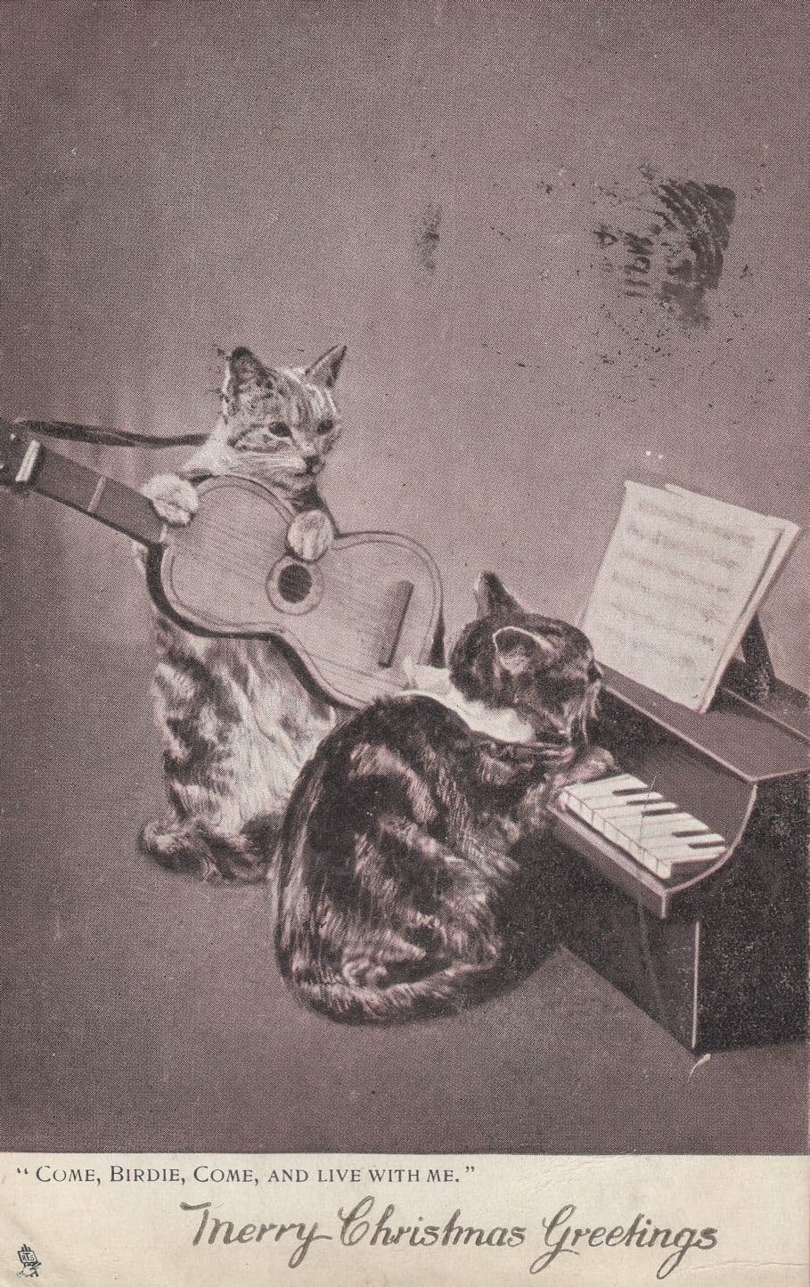 Cat Playing Piano Classical Guitar Music Cats Comic Greetings Postcard