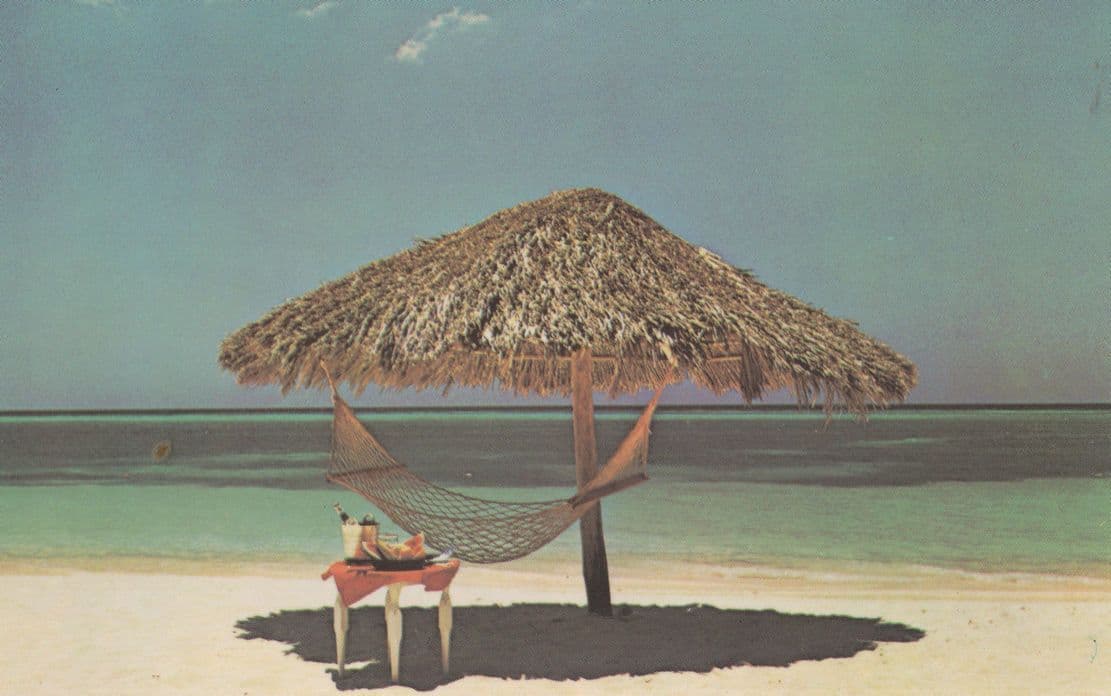 Cat Stevens New Album Foreigner Island Records Music Postcard