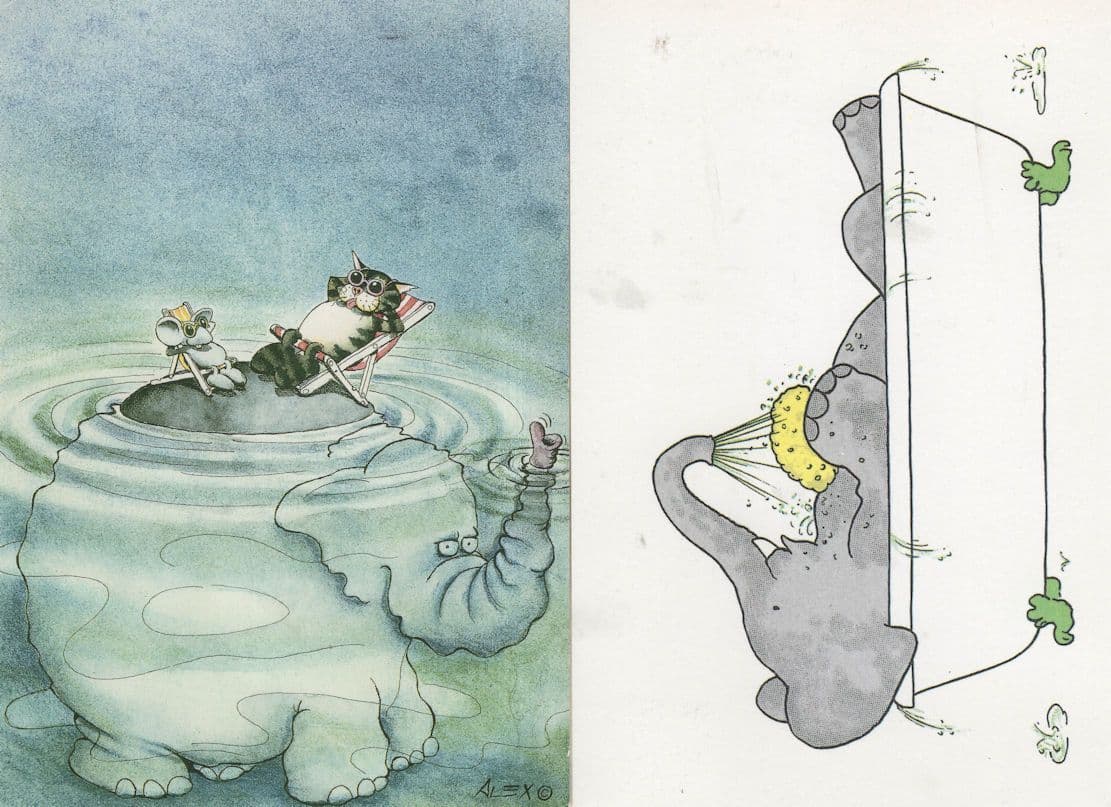Cat Sunbathing On Swimming Elephant Mouse & Bath 2x Comic Postcard s