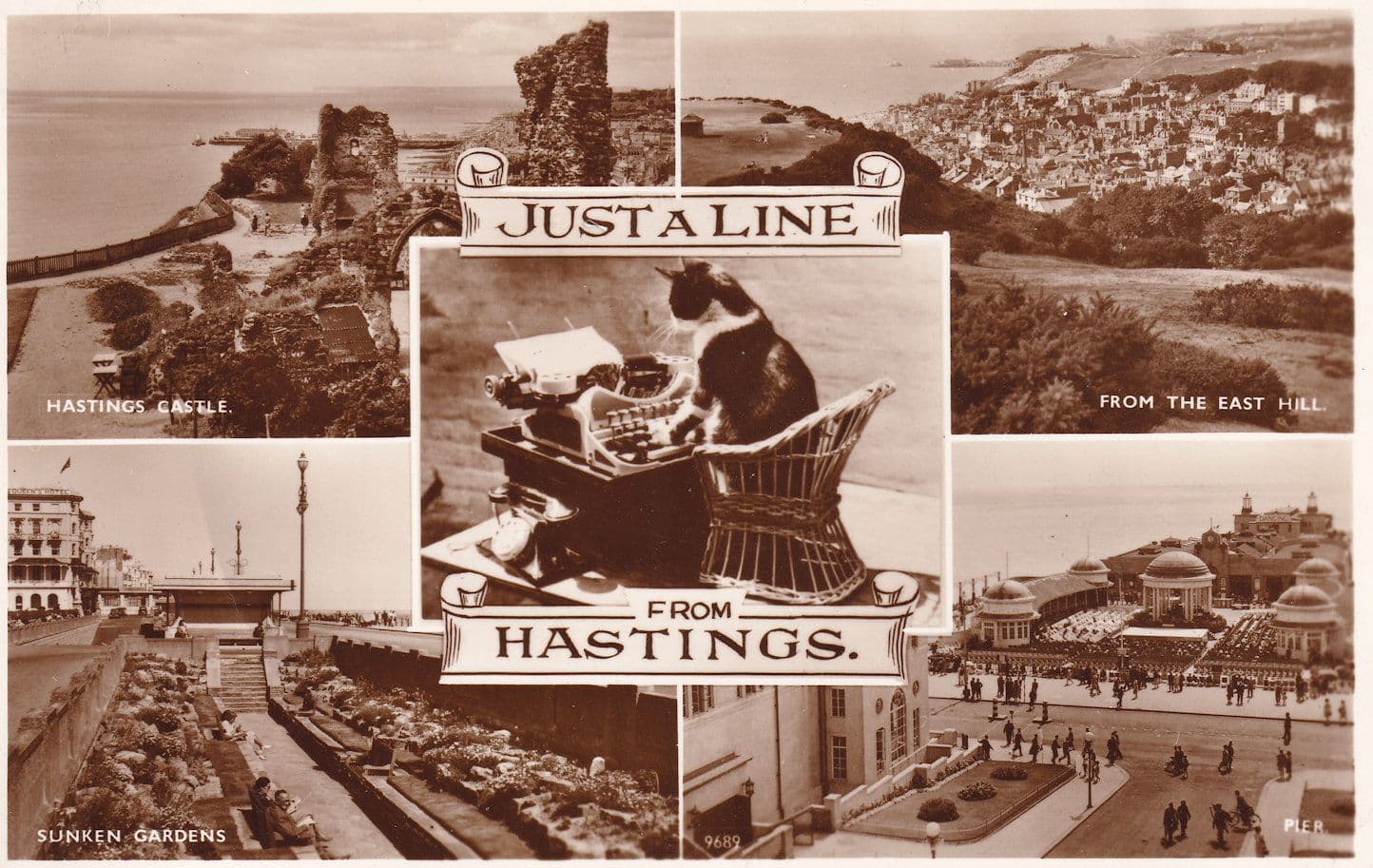 Cat Typing Secretary Just A Line From Hastings Real Photo Postcard