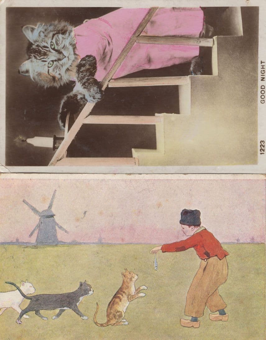 Cats Fed Kippers Grandma Cat On Stairs 2x Old Postcard s